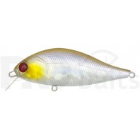 Pontoon21 Bet-A-Shad